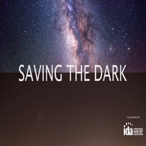 Saving the Dark